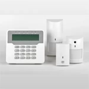 Security and intrusion system
